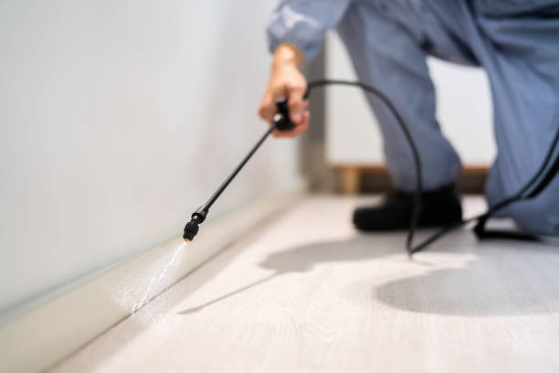 Bed Bug Pre-Treatment Preparation Assessment in Milford Square