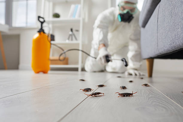 Post-Treatment Bed Bug Interceptor Monitoring in Milford Square