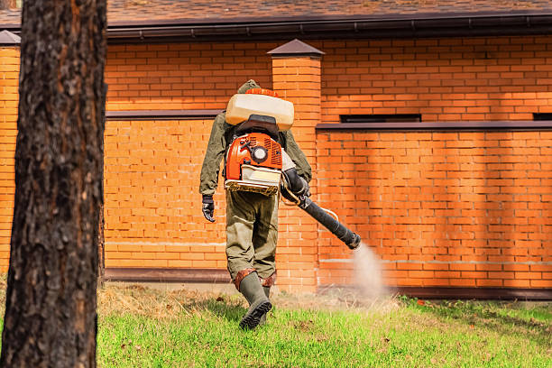 Bed Bug Clearance Verification and Documentation in Milford Square